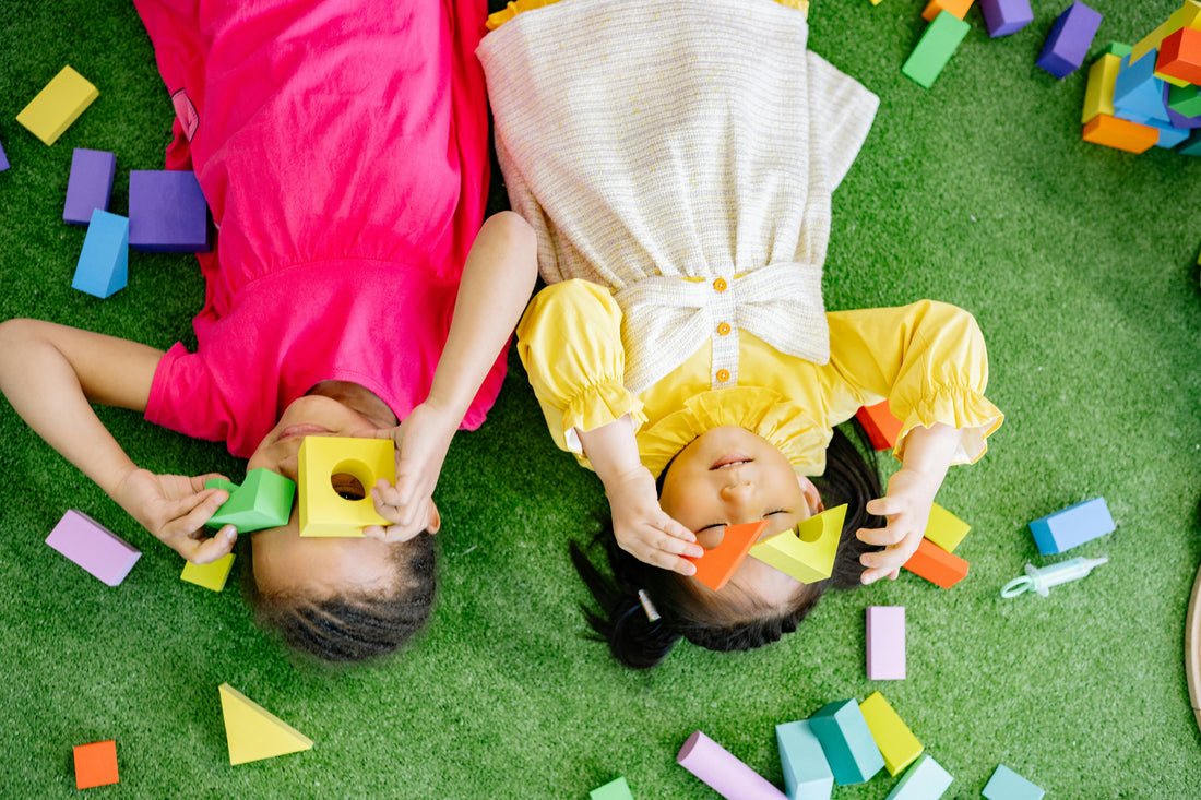 The Essential Criteria for Choosing the Right Toy